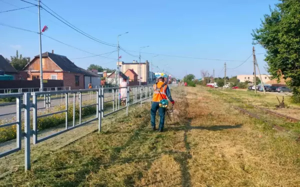 Санитарный порядок в городе — задача №1 на каждый день