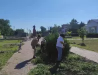 В Ейском районе приводят в порядок парки, дороги и улицы