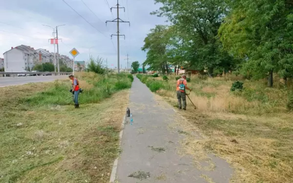 Коммунальщики продолжают наводить порядки на газонах и дорогах города