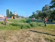 За выходные в городе привели в порядок улицы и дворы