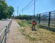 За выходные в городе привели в порядок улицы и дворы