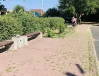 За выходные в городе привели в порядок улицы и дворы