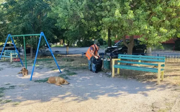 За выходные в городе привели в порядок улицы и дворы