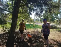 В Моревском сельском поселении продолжают наводить порядок