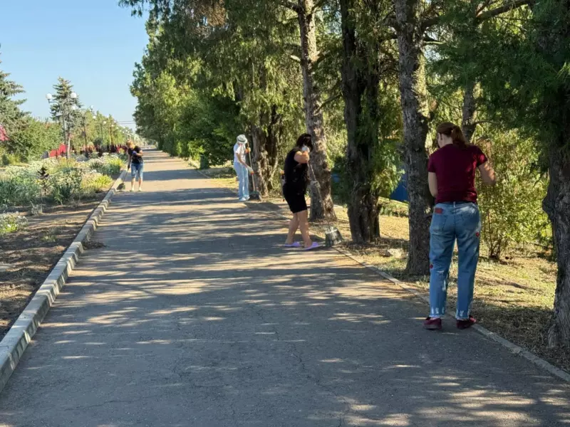 В посёлке Комсомолец привели в порядок главную аллею