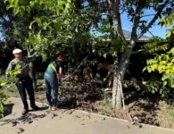 В посёлке Комсомолец привели в порядок главную аллею