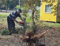 В парке имени Поддубного в Ейске устраняют последствия сильного ветра