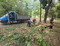 В парке имени Поддубного в Ейске устраняют последствия сильного ветра