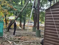 В парке имени Поддубного в Ейске устраняют последствия сильного ветра