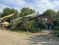 В станице Ясенской убрали дерево, упавшее на частное домовладение