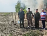 В ходе операции «МАК-2026» в Ейском районе уничтожили более 6 тысяч кустов дикорастущей конопли