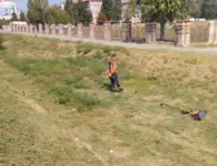 Коммунальщики Ейска продолжают косят траву и очищать ливневки