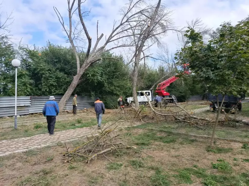 В парке Поддубного убирают аварийные сухие деревья