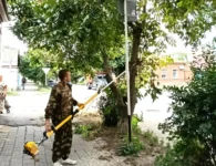 На нескольких перекрёстках Ейска подстригли кустарники, закрывавшие дорожные знаки