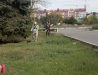 В Ейске ликвидируют стихийные свалки и приводят в порядок контейнерные площадки