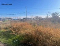 В Ейске проводятся еженедельные рейды по выявлению запущенных участков