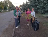 Жители посёлка Садового в Ейском районе благоустроили клумбы на центральной улице