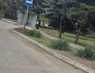 Жители посёлка Садового в Ейском районе благоустроили клумбы на центральной улице