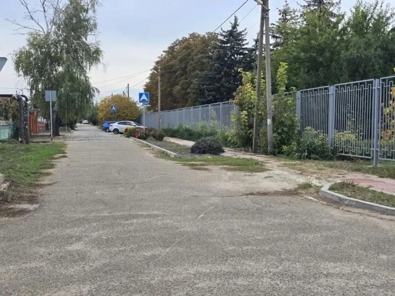 Жители посёлка Садового в Ейском районе благоустроили клумбы на центральной улице