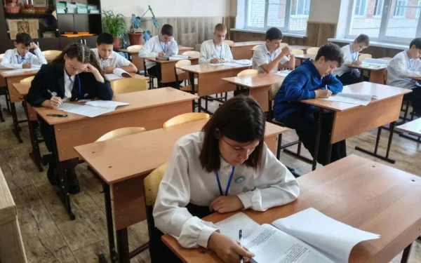 В Ейске 183 школьника приняли участие в олимпиадах по математике и английскому языку