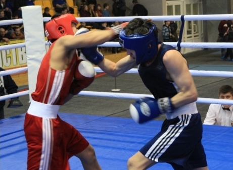 Юные боксеры из Ейска собрали золотой урожай, фото - tuimazy-boxing.ru